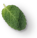 mint leaves 1a